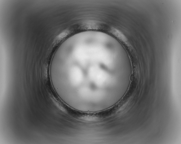 X0000086750537200704271712