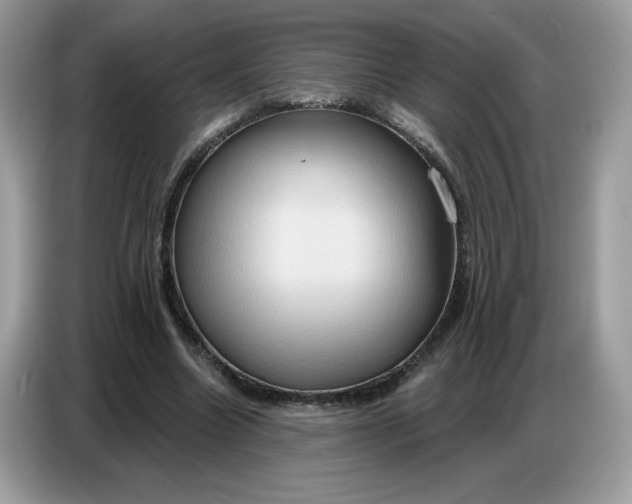 X0000086750538200704271712