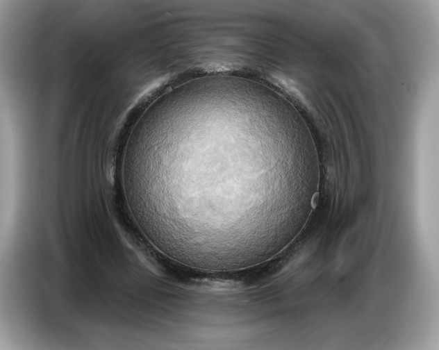 X0000086750539200704271712