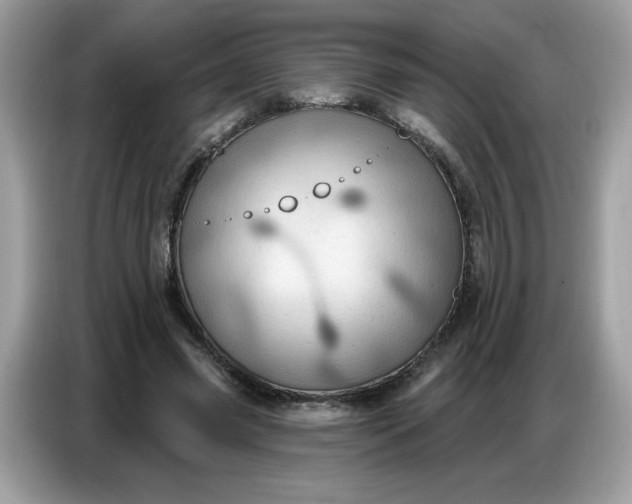 X0000086750541200704271712