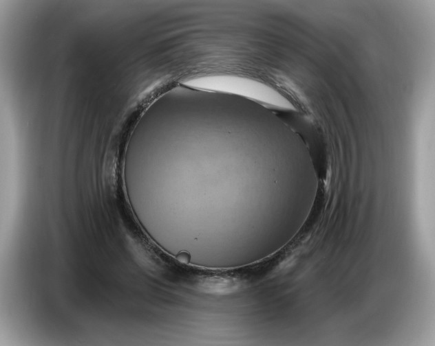 X0000086750542200704271712