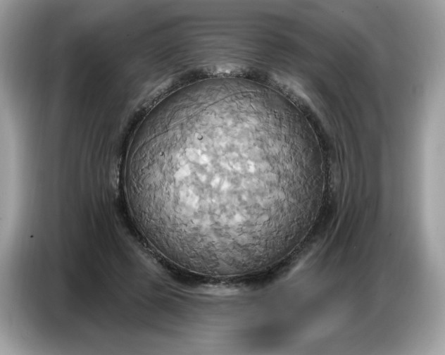 X0000086750545200704271712