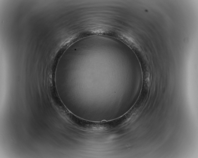 X0000086750547200704271712