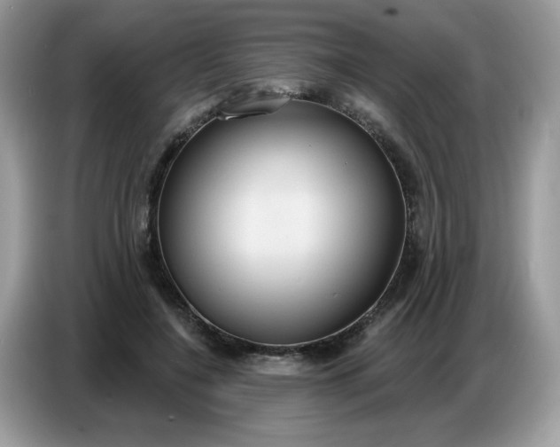 X0000086750548200704271712