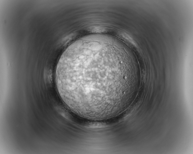 X0000086750549200704271712