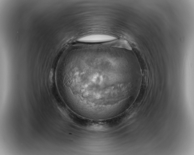 X0000086750550200704271712