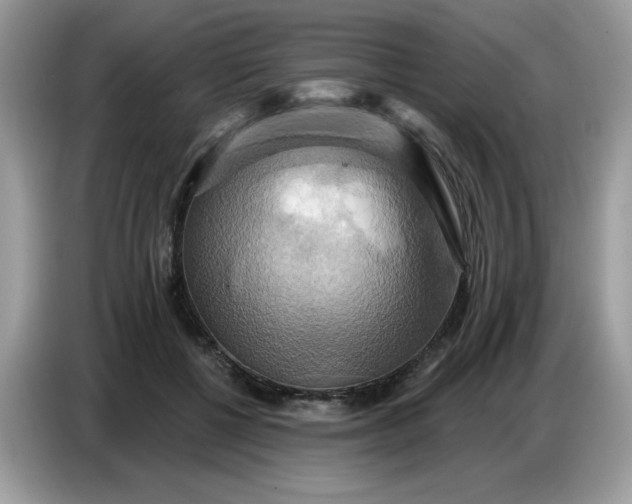 X0000086750552200704271712