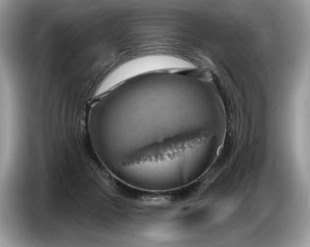 X0000086750553200704271712