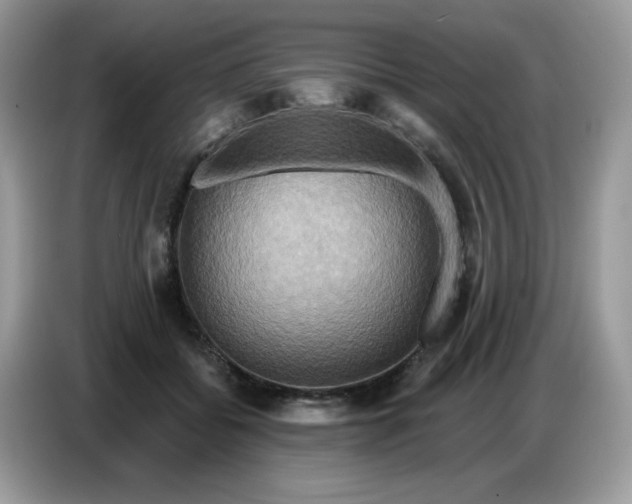 X0000086750556200704271712