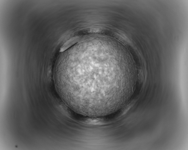 X0000086750557200704271712