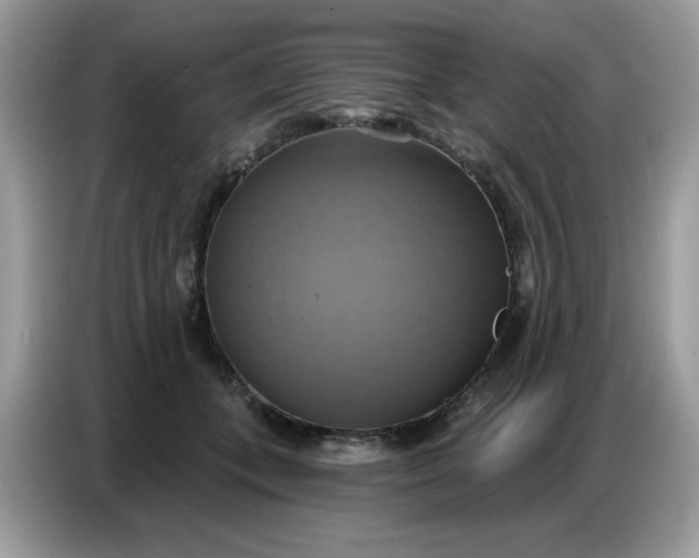 X0000086750559200704271712