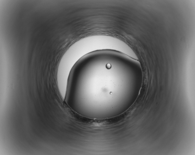 X0000086750560200704271712