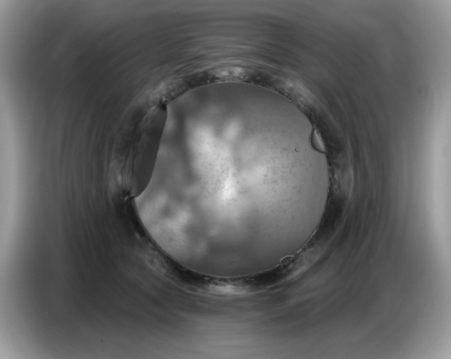 X0000086750561200704271712