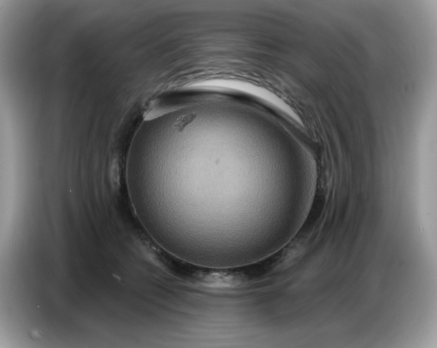 X0000086750562200704271712