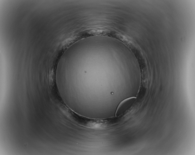 X0000086750563200704271712