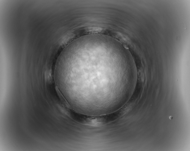 X0000086750564200704271712