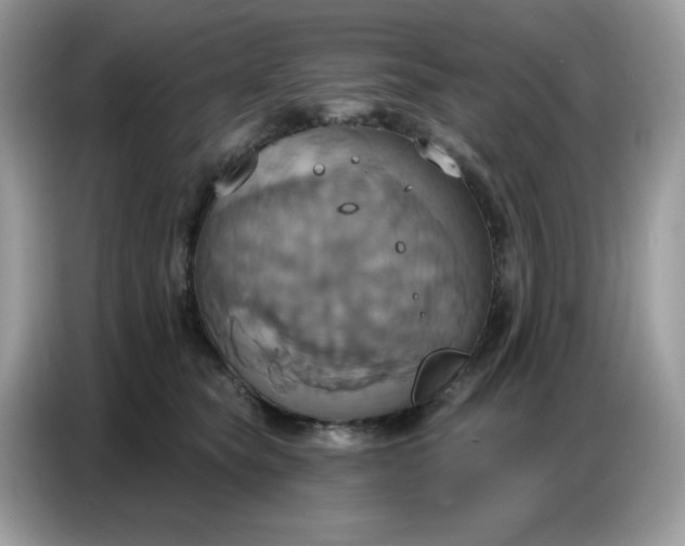 X0000086750565200704271712