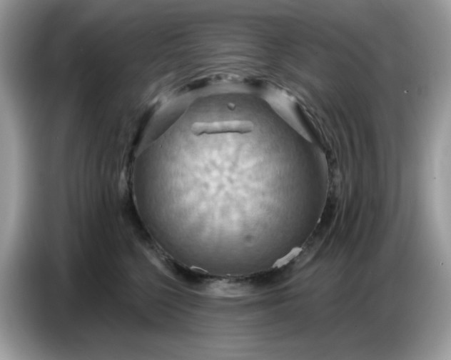 X0000086750568200704271712