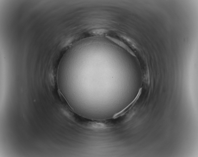 X0000086750572200704271713