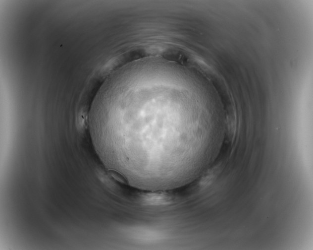 X0000086750574200704271713