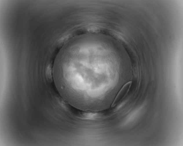 X0000086750575200704271713