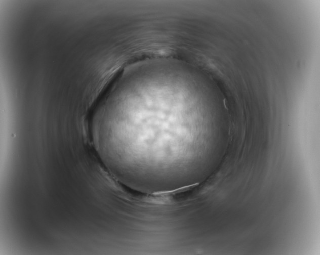 X0000086750576200704271713