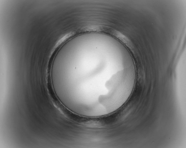 X0000086750578200704271712