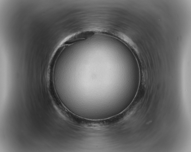 X0000086750580200704271712