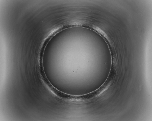 X0000086750581200704271712