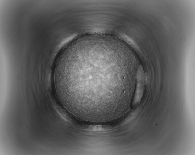 X0000086750588200704271712