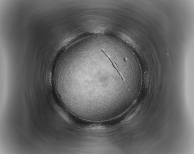 X0000086750589200704271712