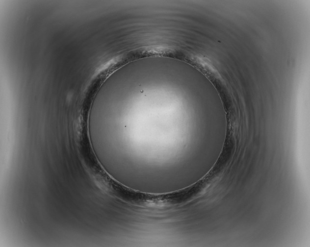 X0000086750591200704271712