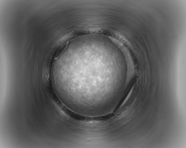 X0000086750593200704271712