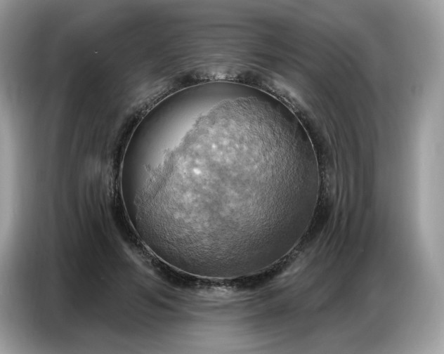 X0000086750594200704271712