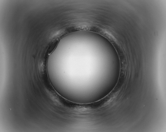 X0000086750597200704271712