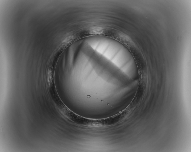 X0000086750598200704271712