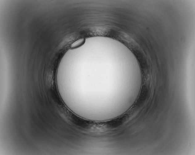 X0000086750599200704271712