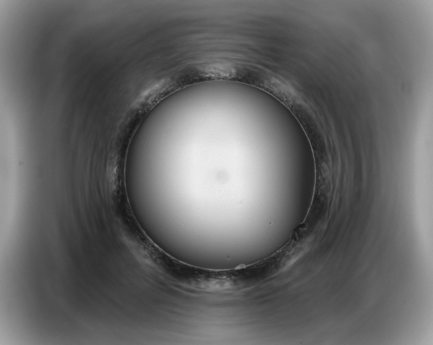 X0000086750600200704271712