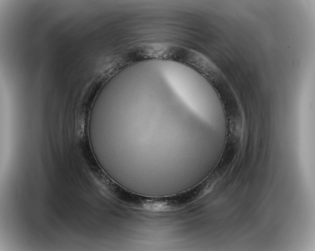 X0000086750602200704271712