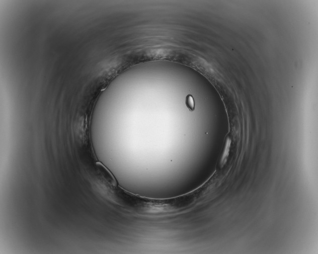 X0000086750605200704271712