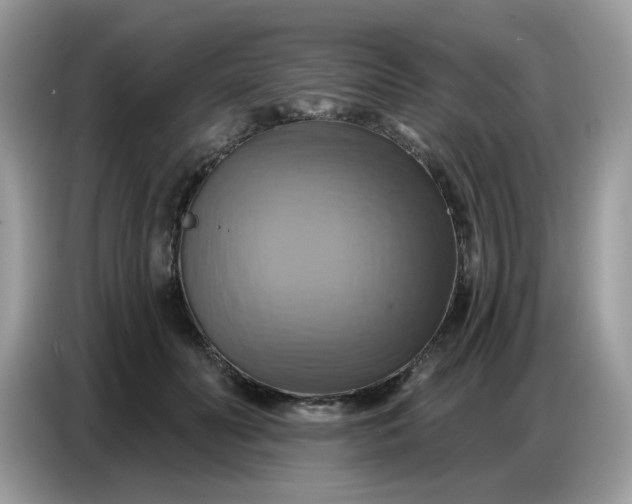 X0000086750606200704271712