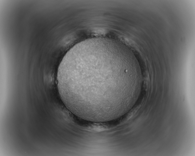 X0000086750608200704271712