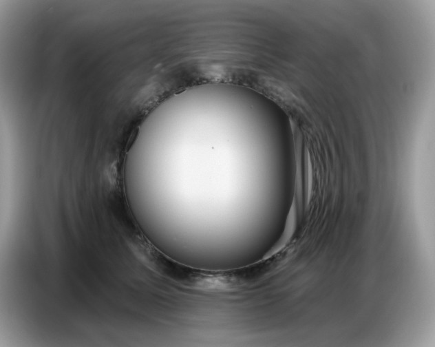 X0000086750611200704271711