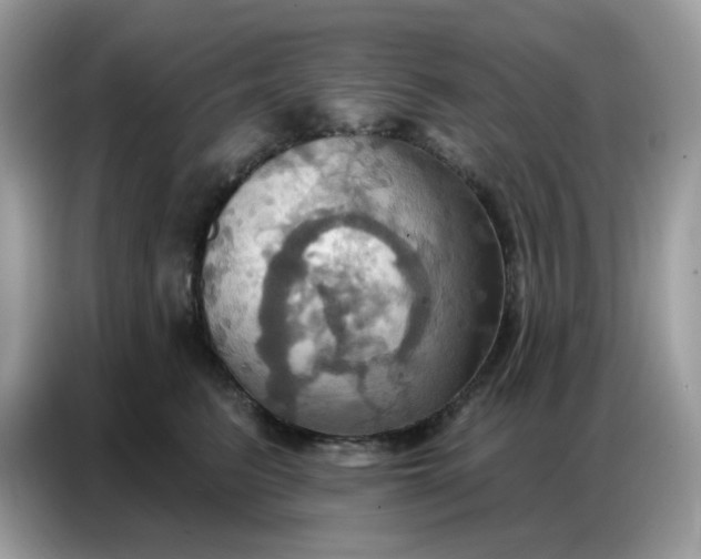 X0000086750615200704271711