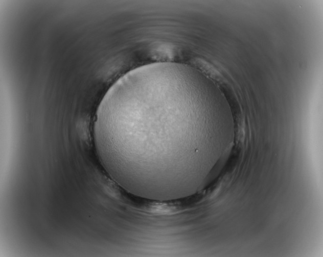 X0000086750616200704271711