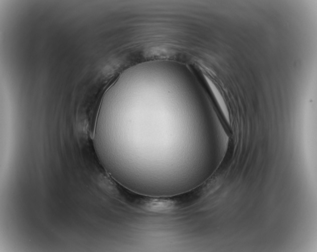 X0000086750617200704271711