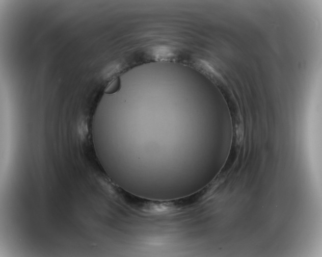 X0000086750618200704271711