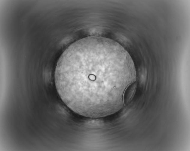 X0000086750619200704271711