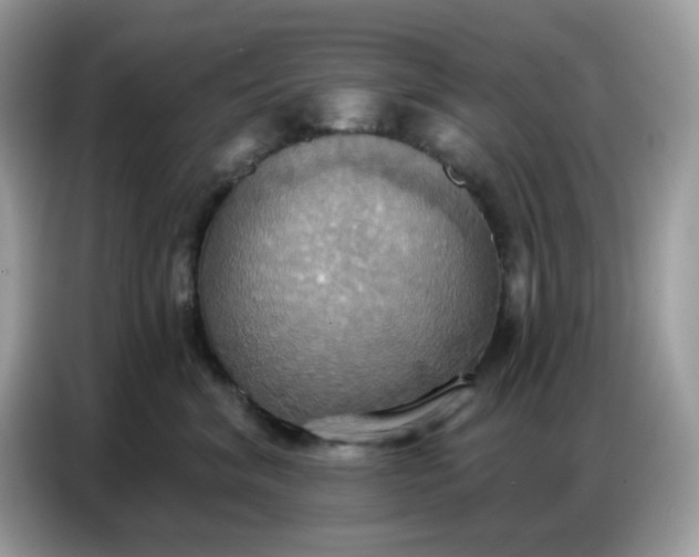 X0000086750620200704271711