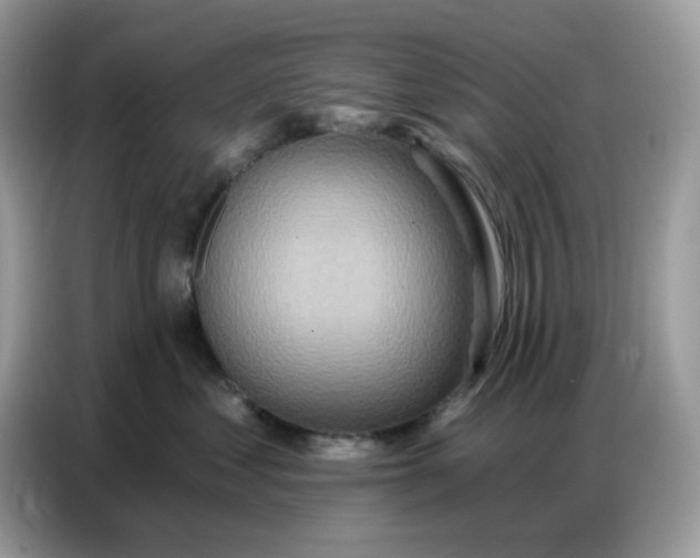 X0000086750621200704271711